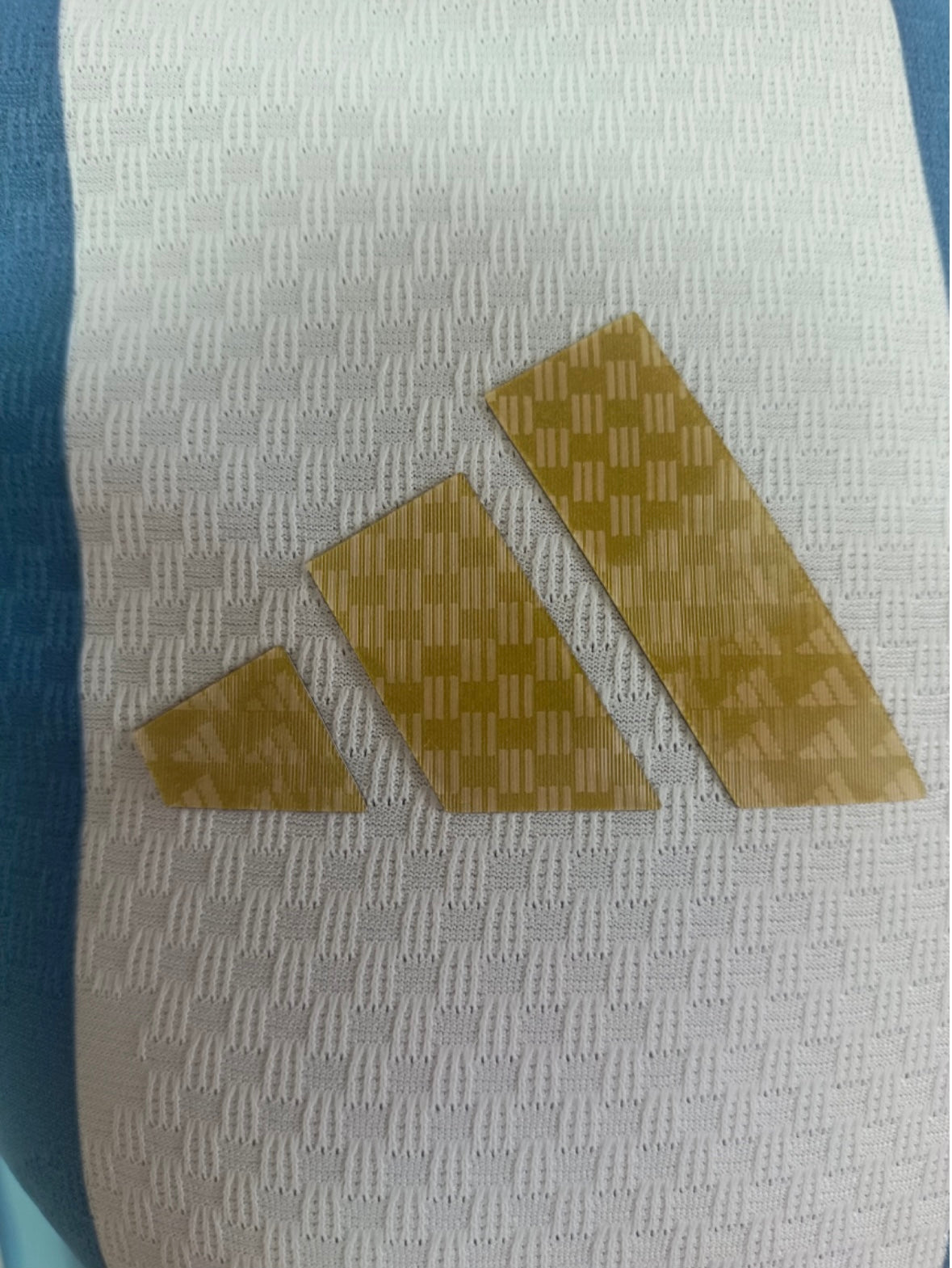 2026 World Cup Argentina Home Jersey – Player & Fan Version