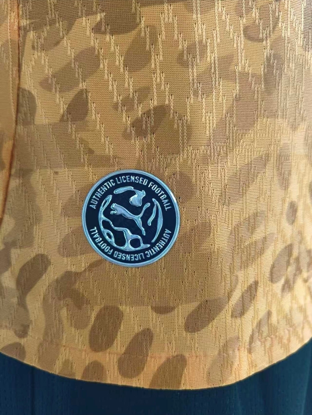 2026 World Cup Ivory Coast Home Jersey – Player & Fan Version