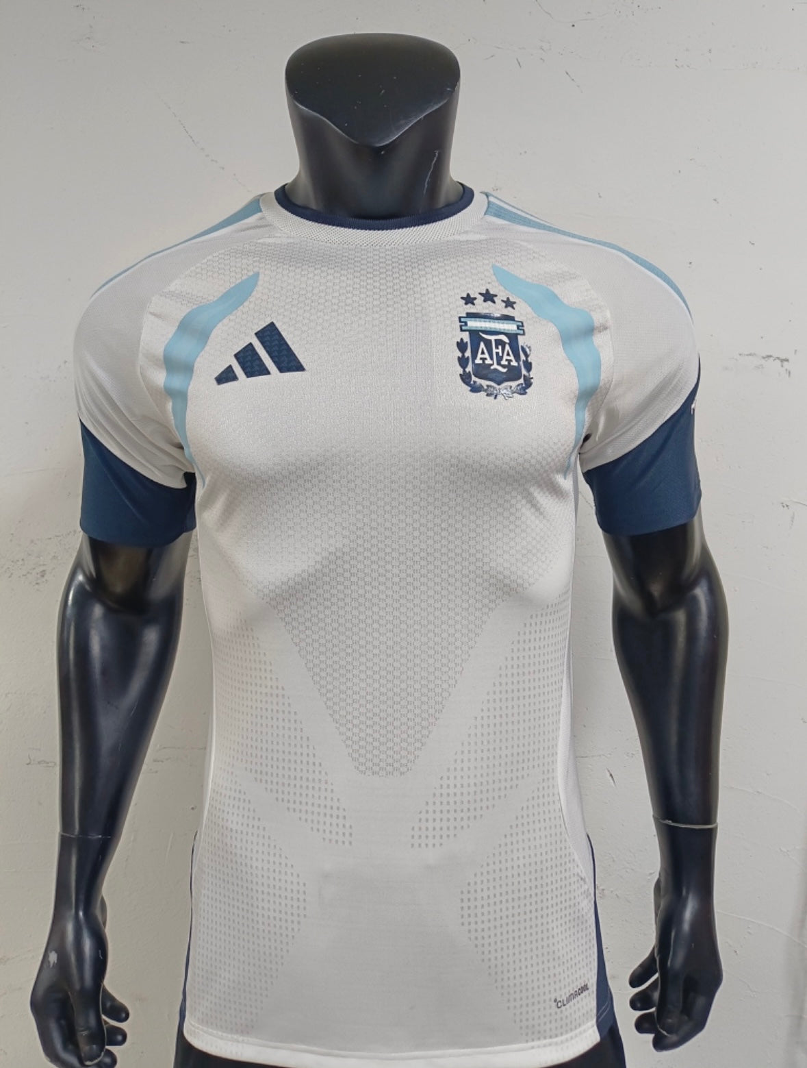 2026 World Cup Argentina Pre-Match Training Jersey – Player Version Soccer Shirt