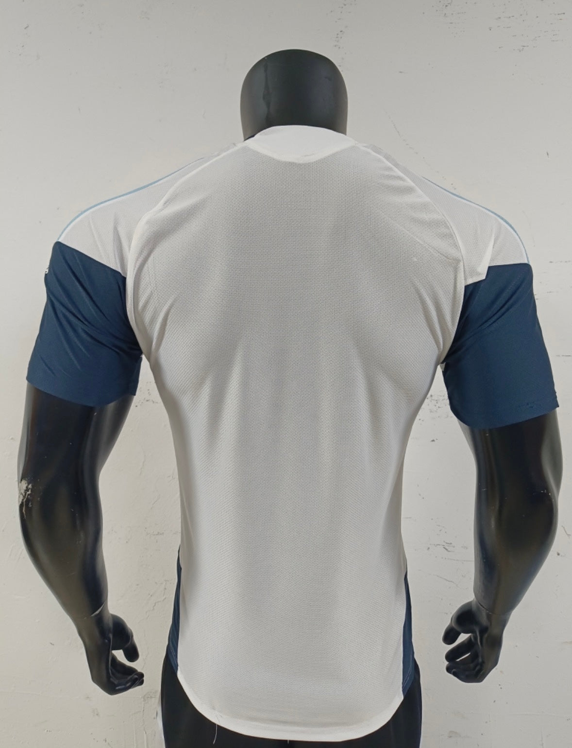 2026 World Cup Argentina Pre-Match Training Jersey – Player Version Soccer Shirt