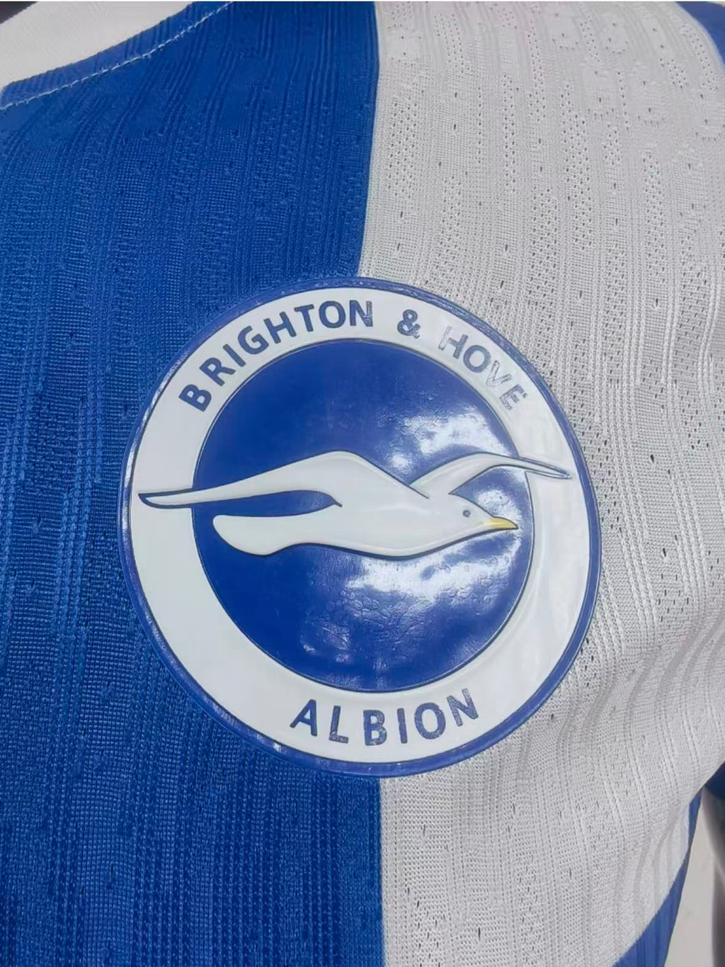 Brighton & Hove Albion 2025/26 Home Jersey – Fan Version & Player Version Soccer Shirt